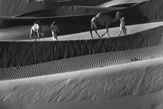 Sand Layer in Liwa UAE  D