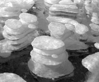 Methane Bubbles in Lake Ice