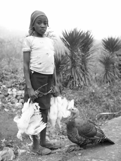 Haitian girl with Poultry in Sequin