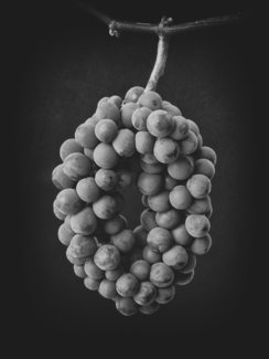 Vineyard Elegance: A Wreath of Grapes
