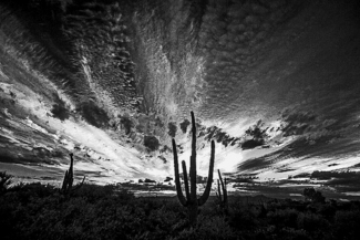 Blazing Sunset Tucson,AZ