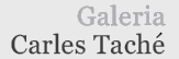Carles Taché