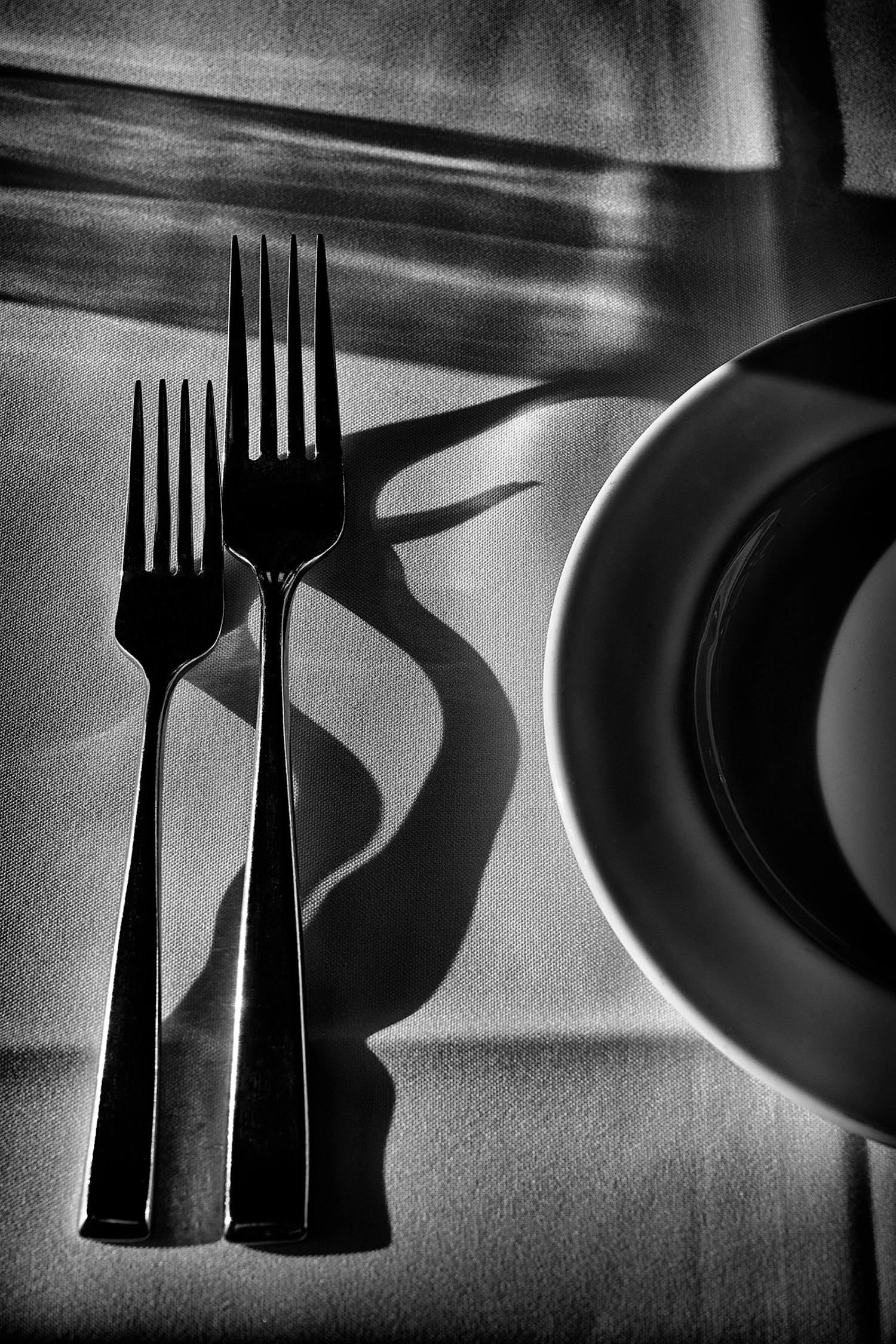 STILL LIFE photography by Douglas Dubler