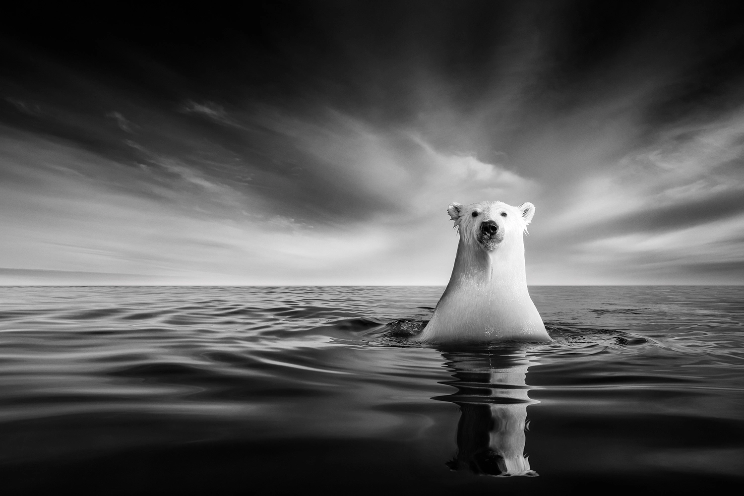 WILDLIFE photography by Kyriakos Kaziras