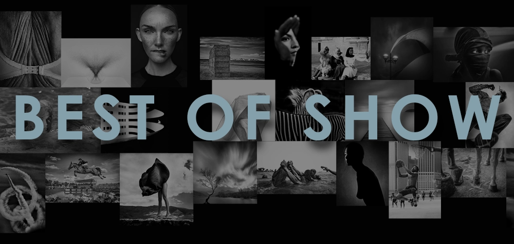 Best of Show Book