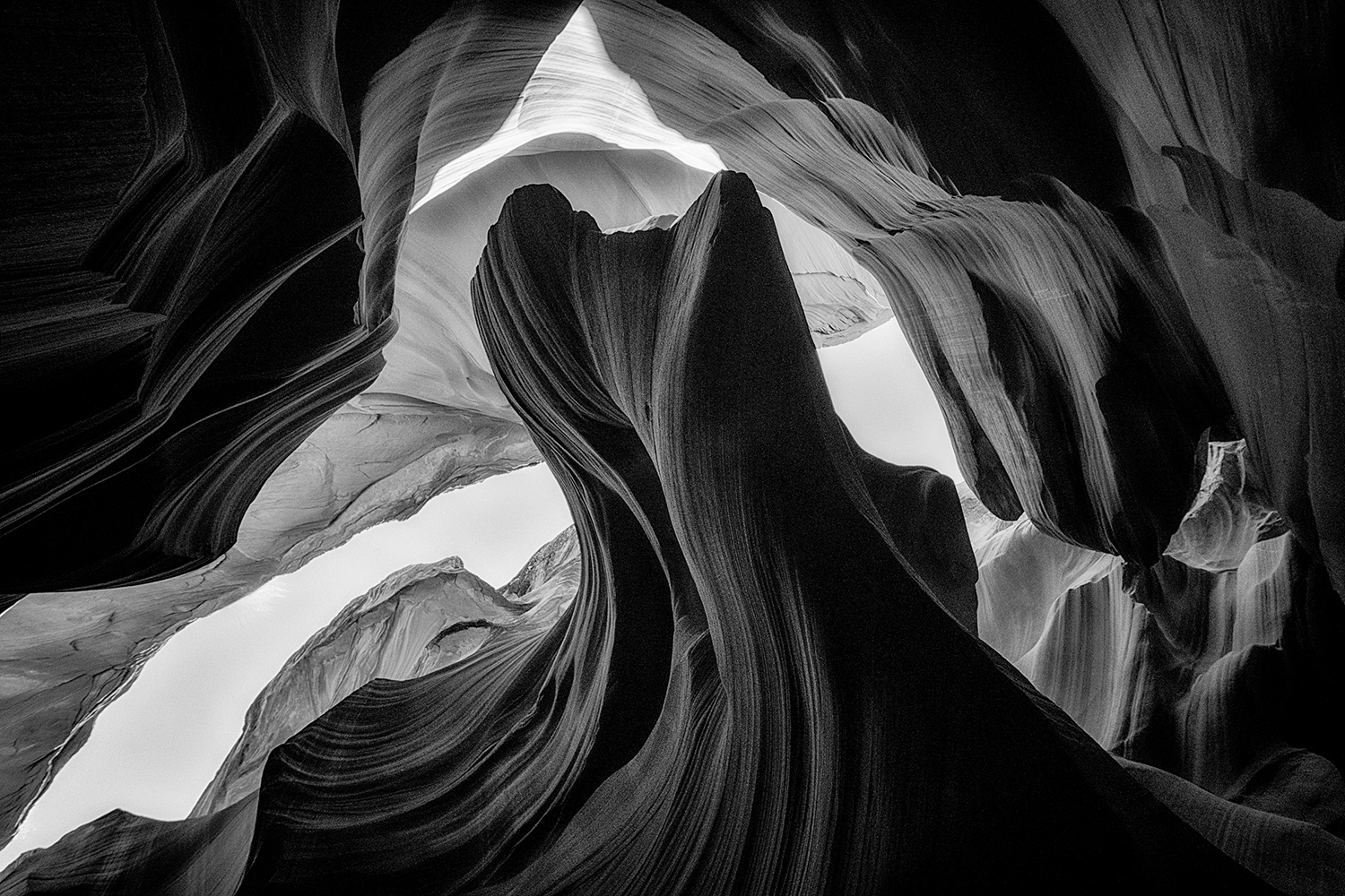 black and white photography awards