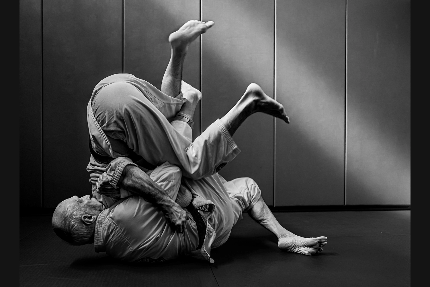 black and white spider awards photography competition