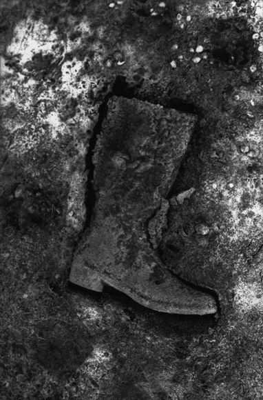 Calx taberuus