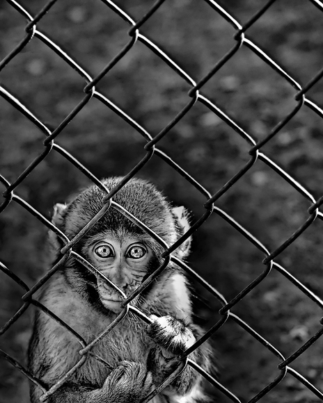 Prison