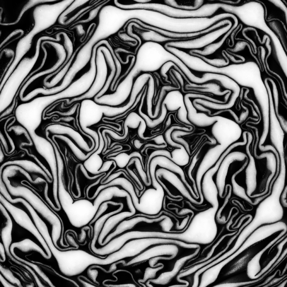 Untitled (1)
