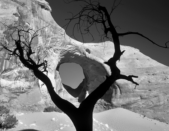 Framed Arch