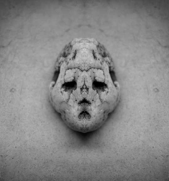 Portrait of a Stone