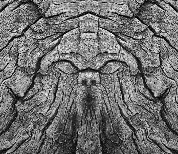 Portrait of a Wooden Table