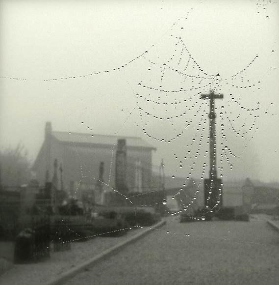 Angel guards cemetery