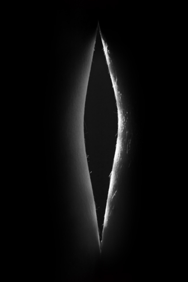 Bodyscapes