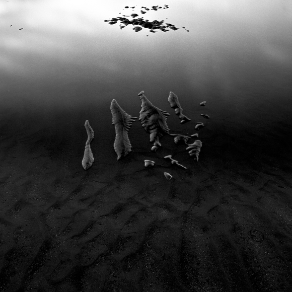 Poppit Sands 1