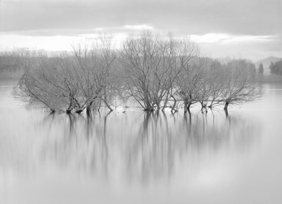Soft Reflections