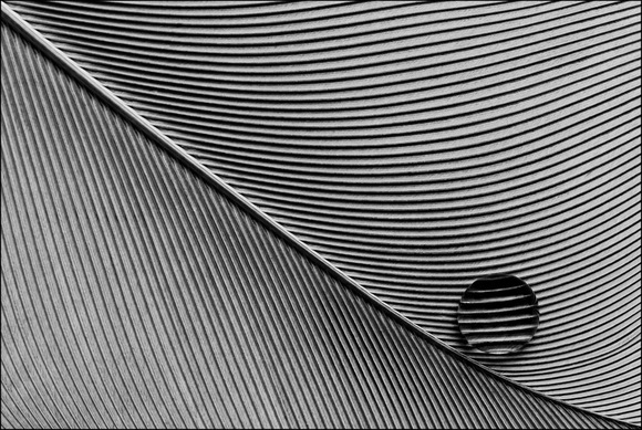 Parallels 03