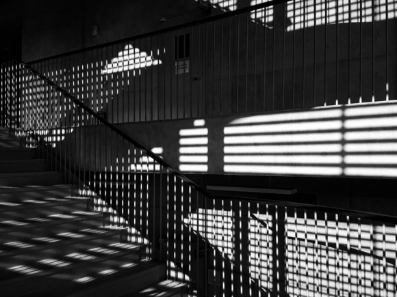 Untitled (3)