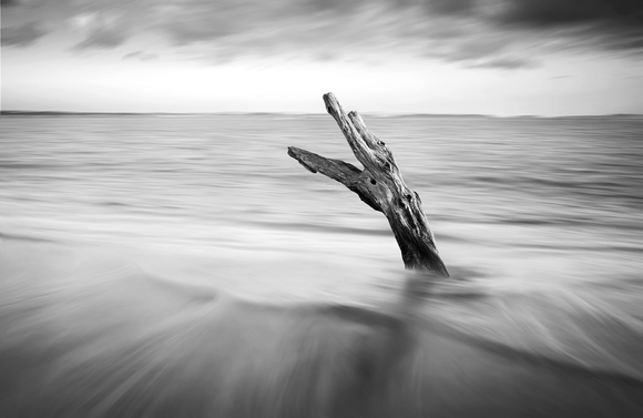 Reach for the Sky