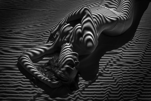 Lines