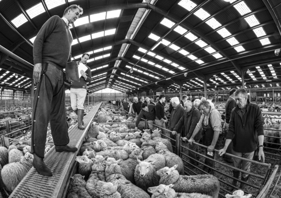 Market Time