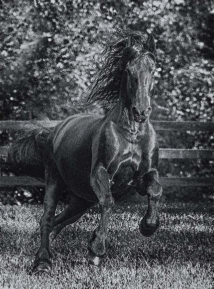 Tesoro's Charge