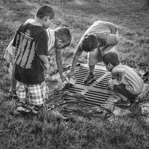 Curiosity