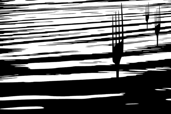 Neptune's modern fork
