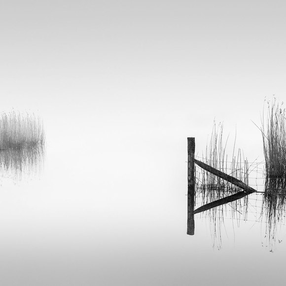 Upon the Water