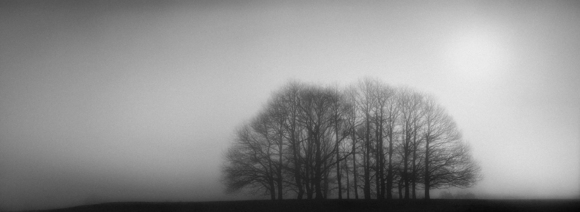 Misty Dawn