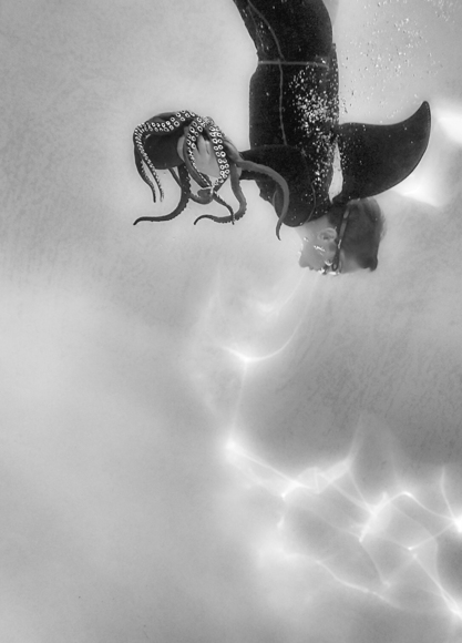 Jack the Shark
