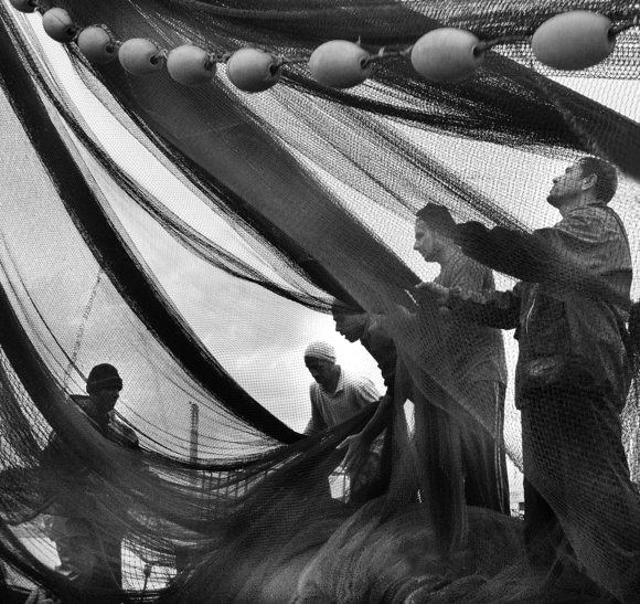 Life behind the Nets