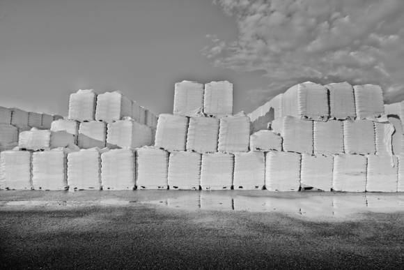 white blocks
