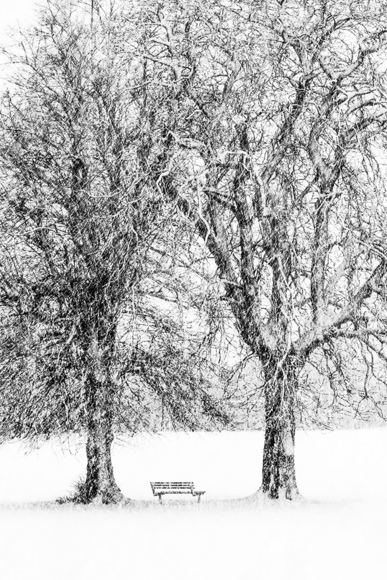 Alone Bench 
