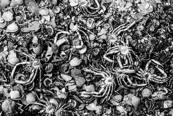 Seafood Cemetery