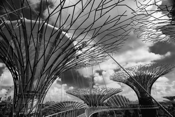 Gardens by the Bay