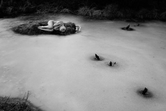 Island in the Ice