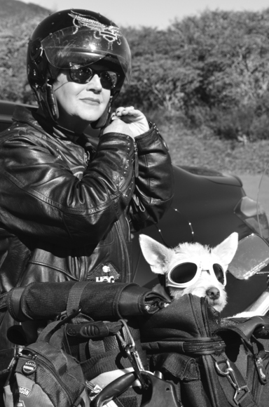 On the Road Again...