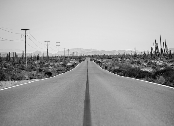 Long Dessert Highway