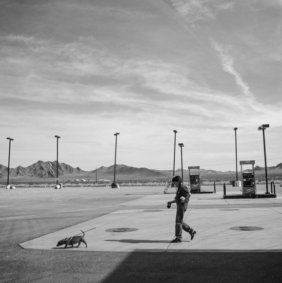 Desert Life