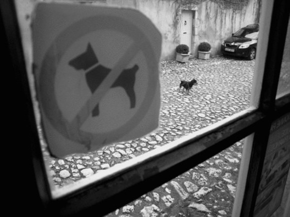 Not Wanted