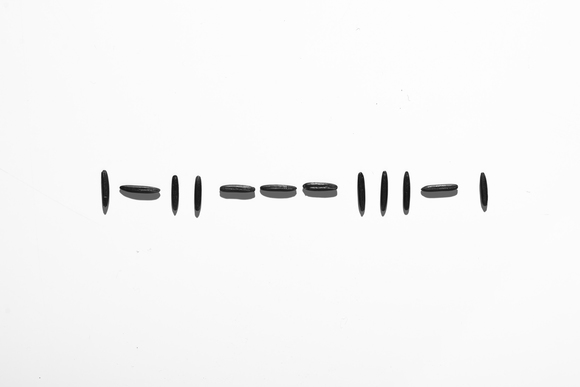 Morse Code