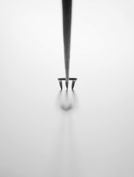 Fork