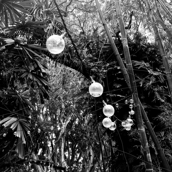 Bamboo and Globes