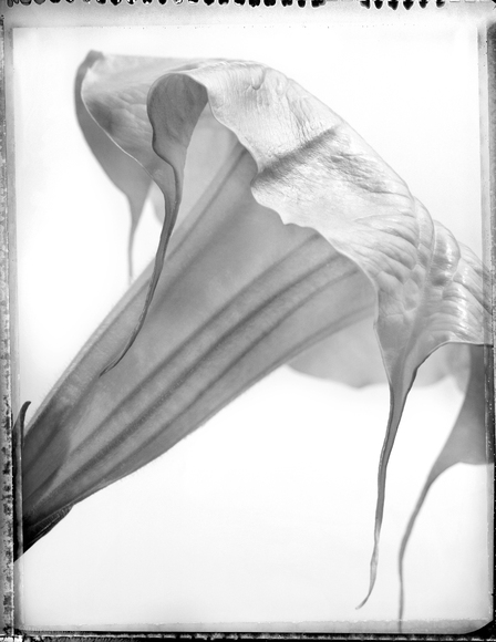 The last Poriod from: Plant #9