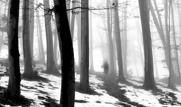 A women carrying the water