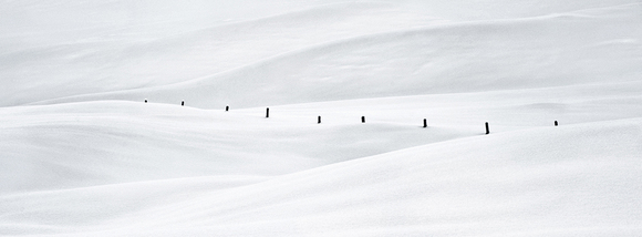 snowscape