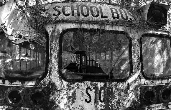 School Bus