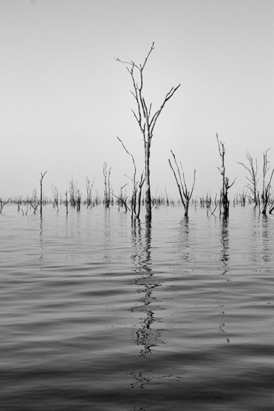 Perspective (1)